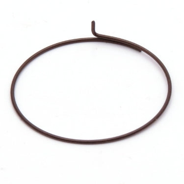 Campagnolo Pawl Spring